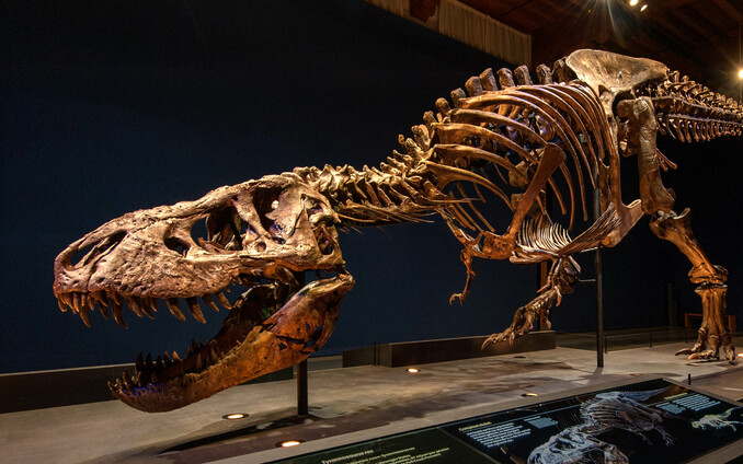 Trix in Naturalis