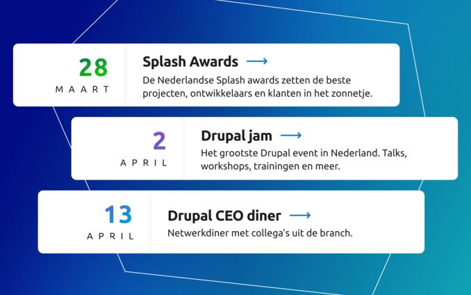Drupal.nl case visual 5