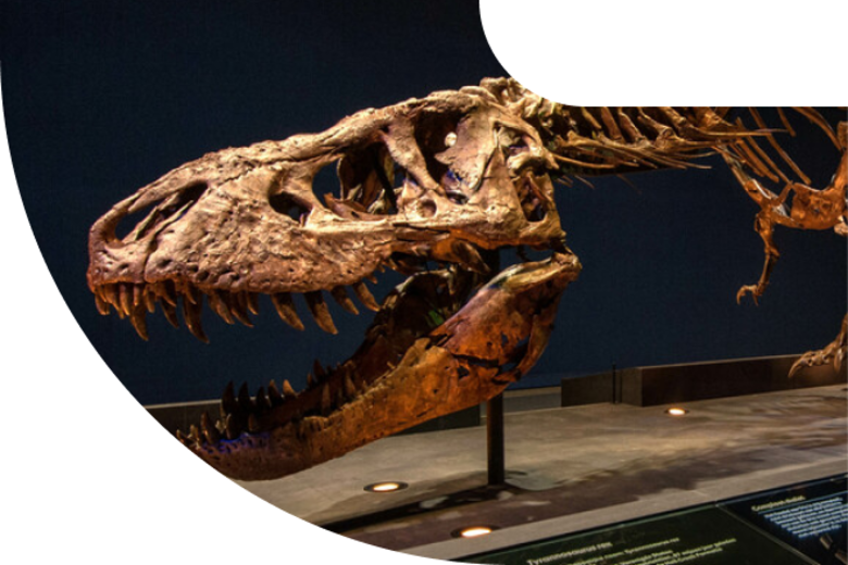 Naturalis teaser