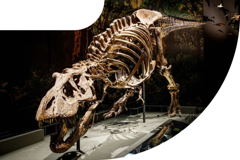 Naturalis dino